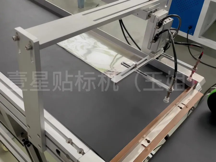PE Bag / Pouch Page-feed Labeling Machine — image 4