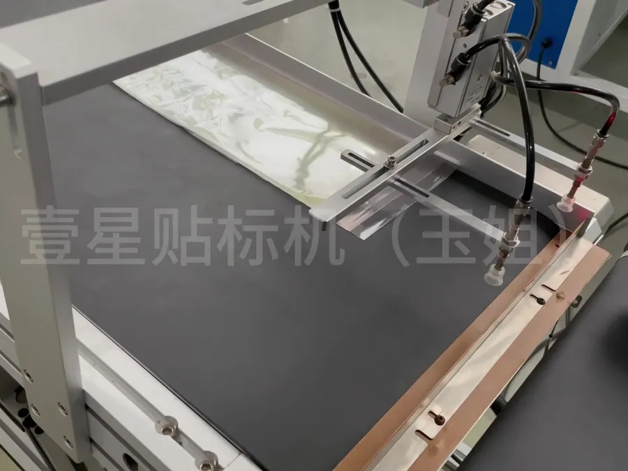 PE Bag / Pouch Page-feed Labeling Machine — image 5