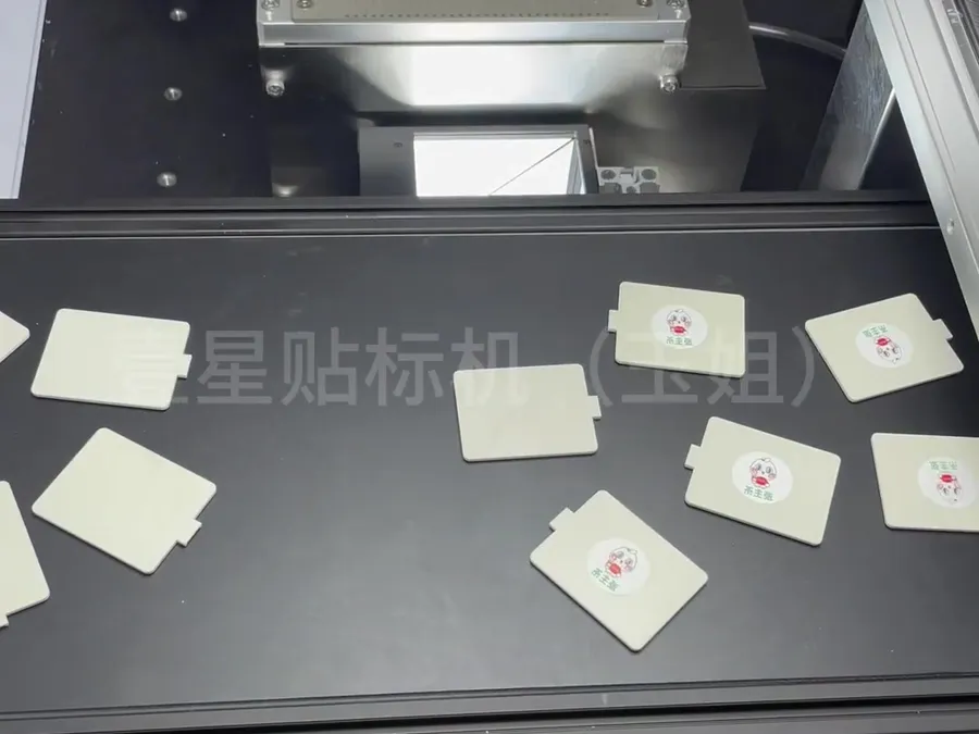 Vision Labeling Machine — image 6